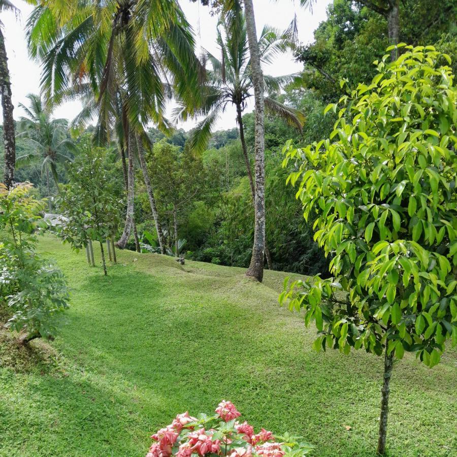 Sugita Wooden House Hotel Payangan Exterior foto